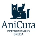 Onze kittens worden medisch behandeld bij AniCura in Breda